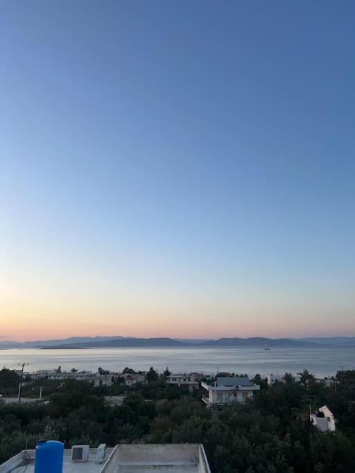 Villa Leo Aigina Vathí Buitenkant foto